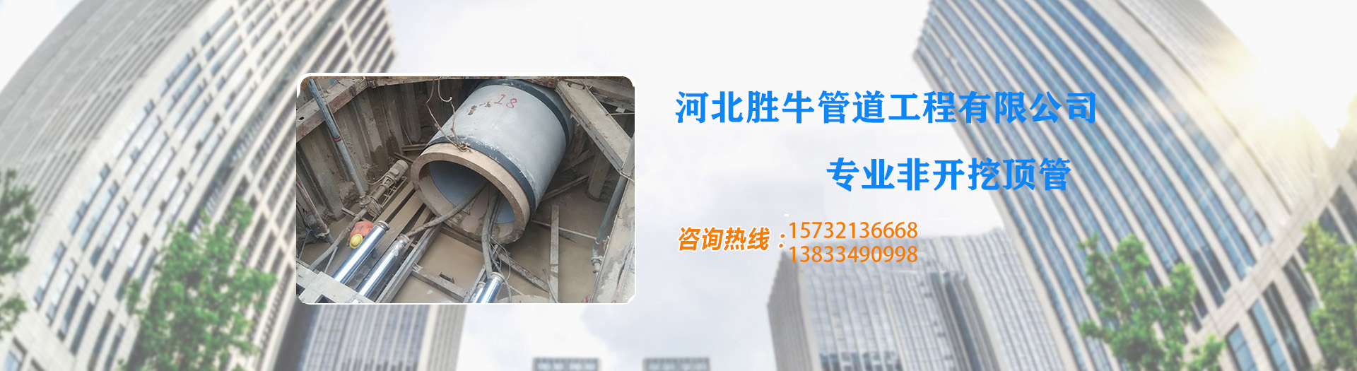 草莓网站在线免费观看